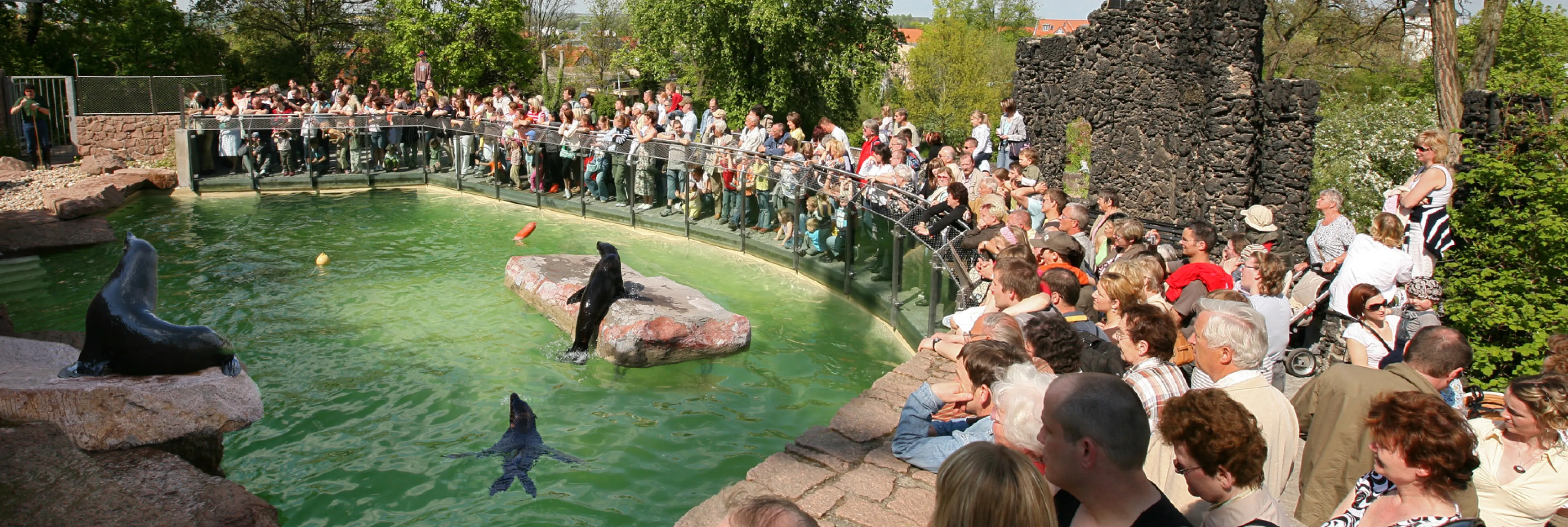 Zoo Halle