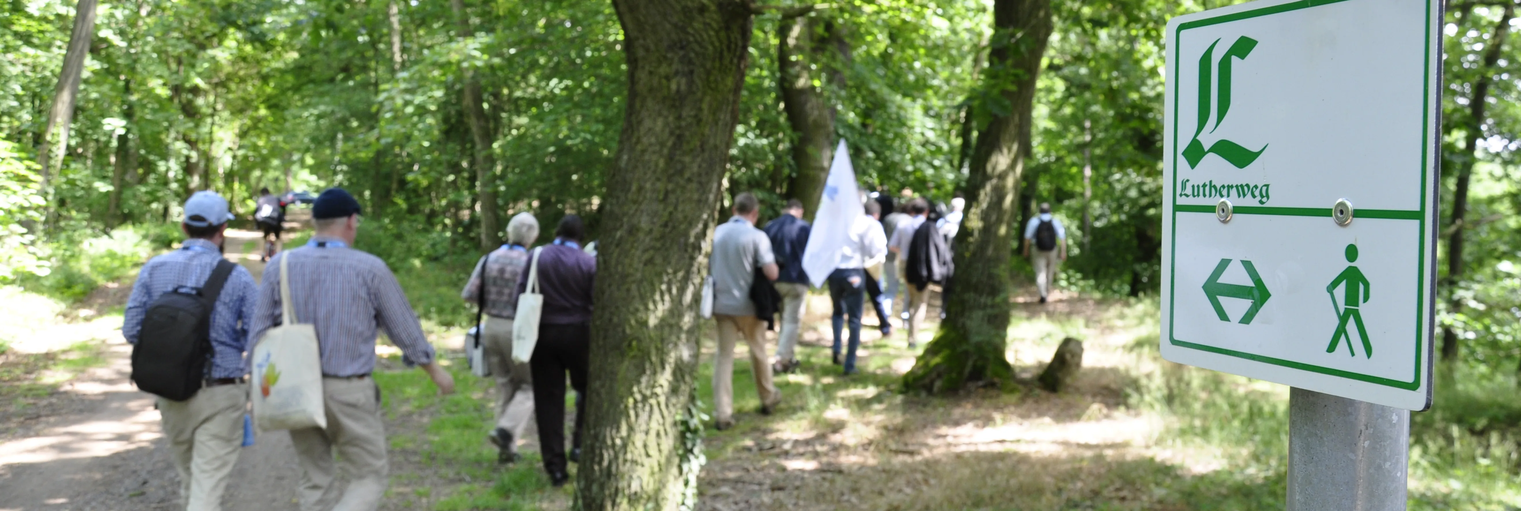 Eine Gruppe von Leuten ist auf einer Wanderung im Wald