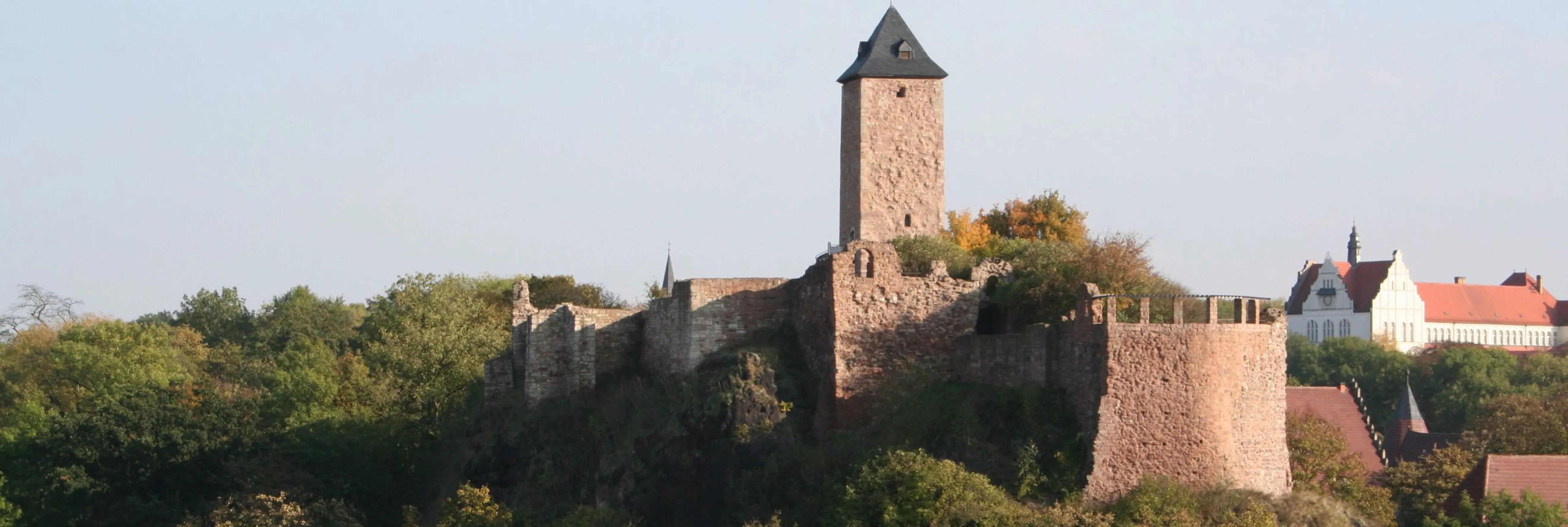 Eine Burg aus Stein mit einem Turm ragt zwischen Bäumen heraus.