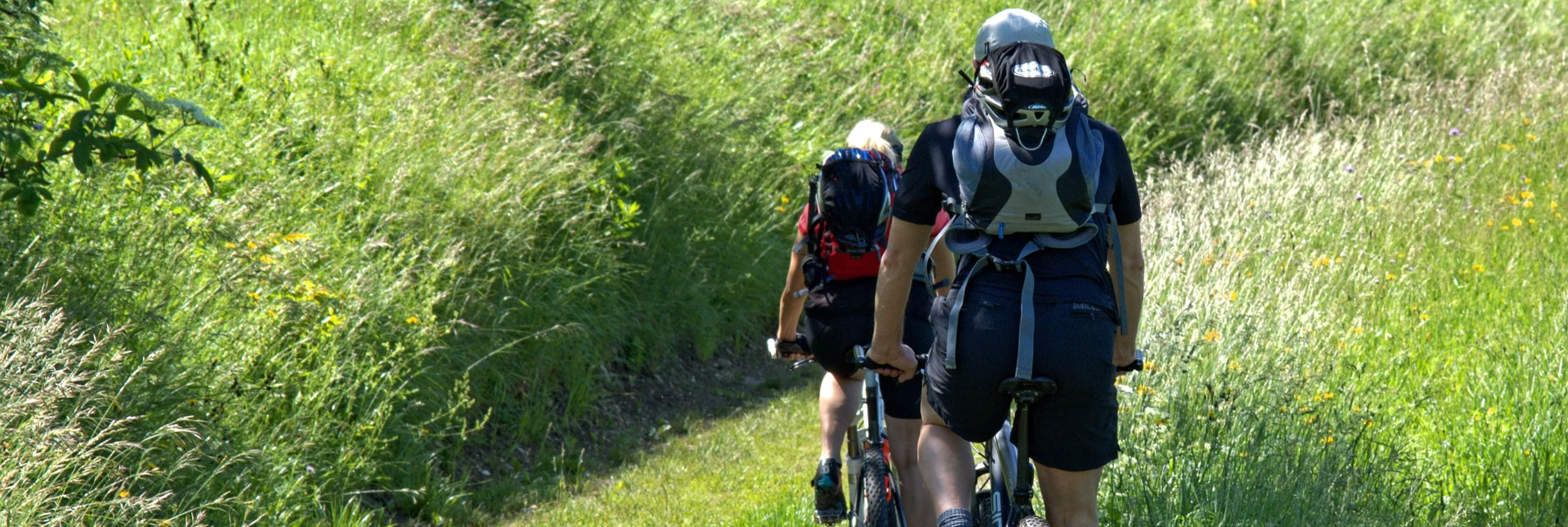 2 Fahrradfahrer von hinten, die durch eine Grünfläche fahren