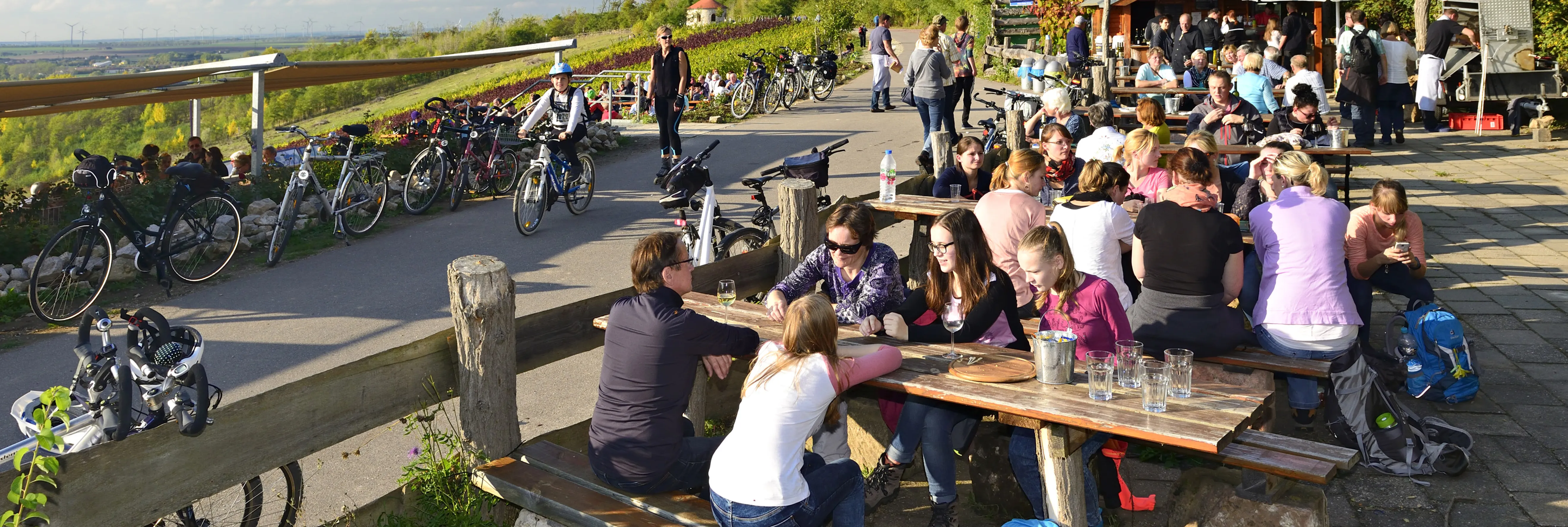 Menschen sitzen auf Bänken im freien, daneben sind Weinberge und eine Fahrradstraße zu sehen.