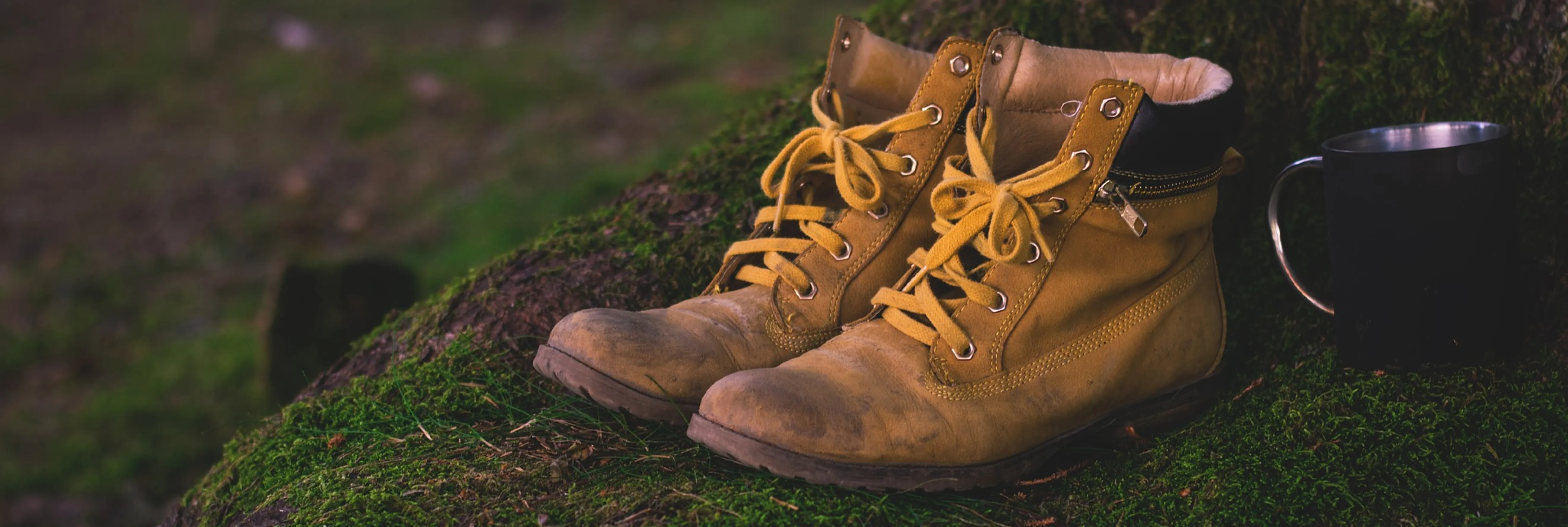 Wanderstiefel Zu sehen ist ein braunes Paar Wandelstiefel, abgestellt auf einem Baumstumpf.